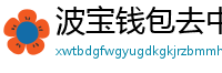 波宝钱包去中心化下载
